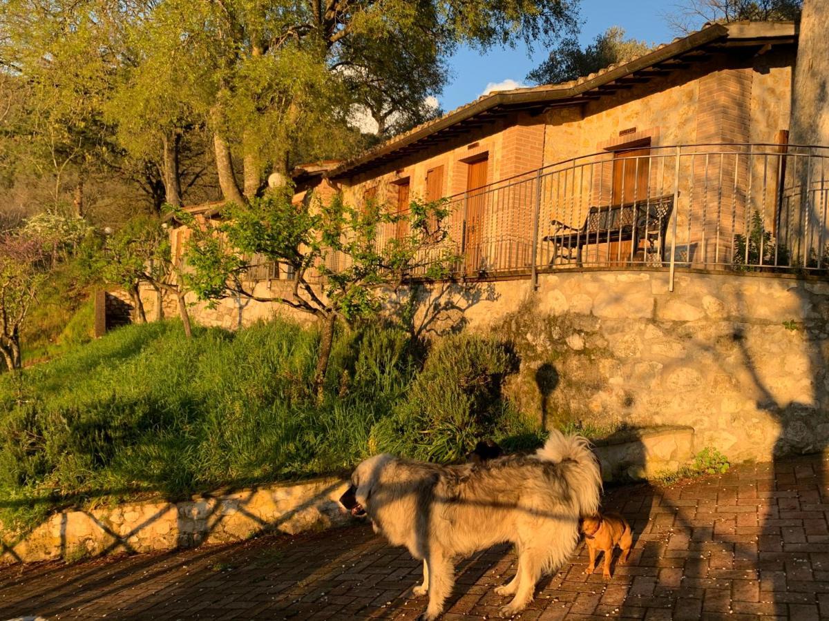 Setterhouseagrihotel Trevi Exterior photo